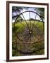 Gate with Metal Wheel Near Cuero, Texas, USA-Darrell Gulin-Framed Photographic Print