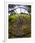 Gate with Metal Wheel Near Cuero, Texas, USA-Darrell Gulin-Framed Photographic Print