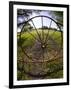 Gate with Metal Wheel Near Cuero, Texas, USA-Darrell Gulin-Framed Photographic Print