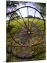 Gate with Metal Wheel Near Cuero, Texas, USA-Darrell Gulin-Mounted Photographic Print