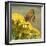 Gatekeeper Butterfly-Adrian Campfield-Framed Giclee Print