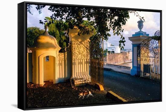 Gates to La Fortaleza, Old San Juan, Puerto Rico-George Oze-Framed Stretched Canvas