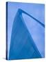 Gateway Arch, St. Louis, Missouri, USA-Walter Bibikow-Stretched Canvas