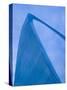 Gateway Arch, St. Louis, Missouri, USA-Walter Bibikow-Stretched Canvas