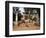 Gateway of the Shantadurga Temple, Quela, Goa, India-Michael Short-Framed Photographic Print