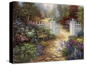 Gateway to Enchantment-Nicky Boehme-Stretched Canvas