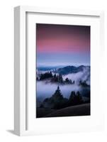 Gateway To Heaven, Beautiful Sunset and Fog at Mount Tamalpais, California-Vincent James-Framed Photographic Print