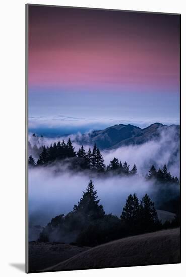 Gateway To Heaven, Beautiful Sunset and Fog at Mount Tamalpais, California-Vincent James-Mounted Photographic Print