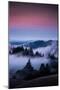 Gateway To Heaven, Beautiful Sunset and Fog at Mount Tamalpais, California-Vincent James-Mounted Photographic Print