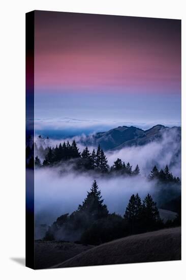 Gateway To Heaven, Beautiful Sunset and Fog at Mount Tamalpais, California-Vincent James-Stretched Canvas
