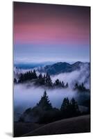 Gateway To Heaven, Beautiful Sunset and Fog at Mount Tamalpais, California-Vincent James-Mounted Photographic Print