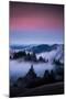 Gateway To Heaven, Beautiful Sunset and Fog at Mount Tamalpais, California-Vincent James-Mounted Photographic Print