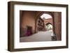 Gateway to the Taj Mahal-Roberto Moiola-Framed Photographic Print