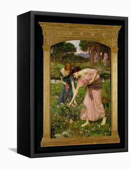 'Gather Ye Rosebuds While Ye May', 1909-John William Waterhouse-Framed Stretched Canvas