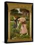 'Gather Ye Rosebuds While Ye May', 1909-John William Waterhouse-Stretched Canvas