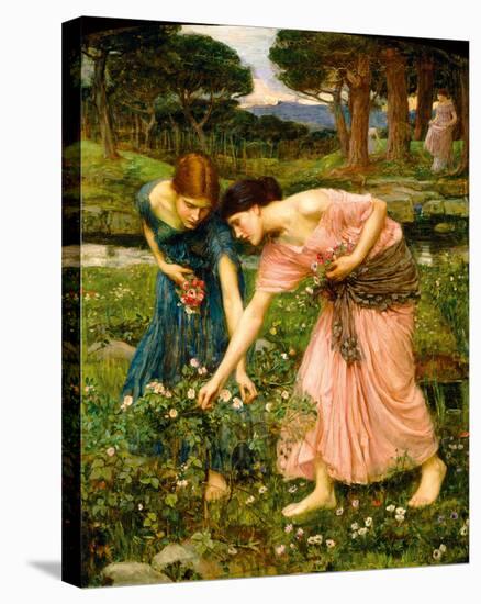 Gather Ye Rosebuds While Ye May-John William Waterhouse-Stretched Canvas