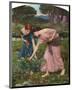 Gather Ye Rosebuds-J^W^ Waterhouse-Mounted Art Print