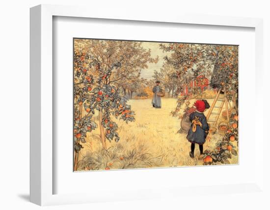 Gathering Apples, 1904-Carl Larsson-Framed Art Print