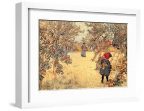 Gathering Apples, 1904-Carl Larsson-Framed Art Print