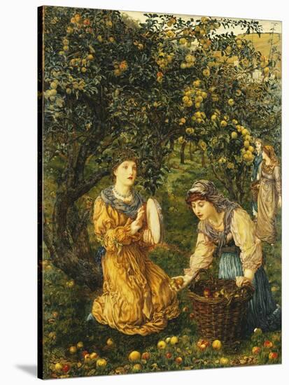 Gathering Apples-Thomas Matthews Rooke-Stretched Canvas