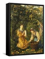 Gathering Apples-Thomas Matthews Rooke-Framed Stretched Canvas