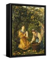 Gathering Apples-Thomas Matthews Rooke-Framed Stretched Canvas