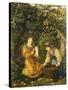 Gathering Apples-Thomas Matthews Rooke-Stretched Canvas