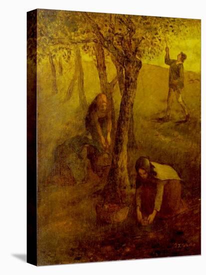 Gathering Apples-Jean-François Millet-Stretched Canvas
