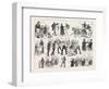 Gathering at the Alexandra Palace in Honour of St. Patrick., London, 1876, Uk-null-Framed Giclee Print