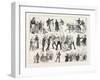 Gathering at the Alexandra Palace in Honour of St. Patrick., London, 1876, Uk-null-Framed Giclee Print