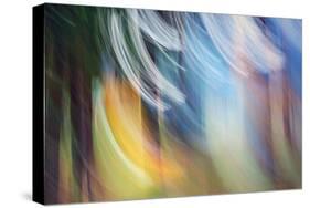 Gathering Colors-Ursula Abresch-Stretched Canvas