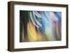 Gathering Colors-Ursula Abresch-Framed Photographic Print