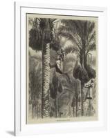 Gathering Dates in Ceylon-null-Framed Giclee Print