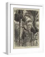 Gathering Dates in Ceylon-null-Framed Giclee Print