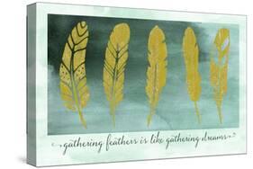 Gathering Feathers-Tina Lavoie-Stretched Canvas