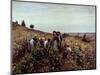 Gathering Grapes-Daniel Ridgway Knight-Mounted Giclee Print