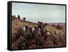 Gathering Grapes-Daniel Ridgway Knight-Framed Stretched Canvas