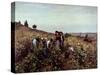 Gathering Grapes-Daniel Ridgway Knight-Stretched Canvas