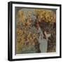 'Gathering luscious fruit from a heavily laden mango tree, Cuernavaca, Mexico', 1907-Elmer Underwood-Framed Photographic Print