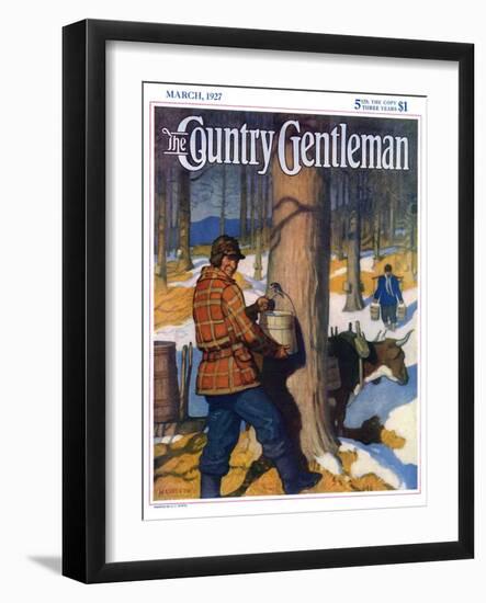 "Gathering Maple Syrup," Country Gentleman Cover, March 1, 1927-Newell Convers Wyeth-Framed Giclee Print