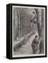 Gathering Mistletoe in France, Present Day-Paul Frenzeny-Framed Stretched Canvas