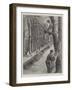 Gathering Mistletoe in France, Present Day-Paul Frenzeny-Framed Giclee Print