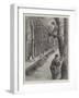 Gathering Mistletoe in France, Present Day-Paul Frenzeny-Framed Giclee Print