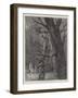 Gathering Mistletoe in the Days of the Druids-Paul Frenzeny-Framed Giclee Print