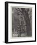 Gathering Mistletoe in the Days of the Druids-Paul Frenzeny-Framed Giclee Print