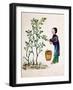 Gathering Mulberry Leaves to Feed Silkworms, 19th Century-null-Framed Giclee Print