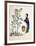 Gathering Mulberry Leaves to Feed Silkworms, 19th Century-null-Framed Giclee Print
