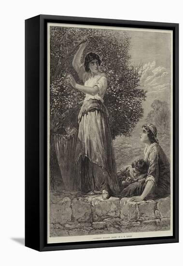 Gathering Mulberry Leaves-Francis William Topham-Framed Stretched Canvas