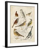 Gathering of Birds I-G. Lubbert-Framed Art Print