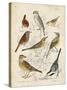 Gathering of Birds I-G. Lubbert-Stretched Canvas